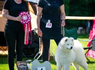 Klubová Výstava Kroměříž   20250105 4